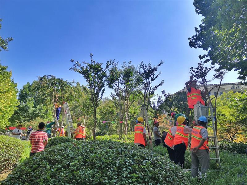 南佛園林承辦全市住建系統(tǒng)園林綠化工職業(yè)技能大賽